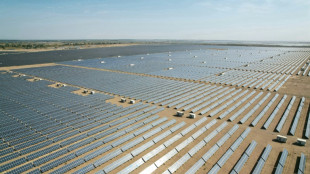 China emissions could fall in 2024 on renewables jump