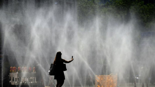 L'Europe &eacute;touff&eacute;e par la canicule, l'Allemagne en alerte &agrave; la chaleur extr&ecirc;me