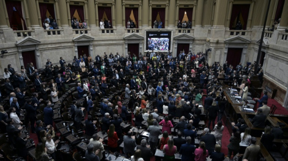 Congresso argentino discute leis complementares &agrave; vasta reforma de Milei