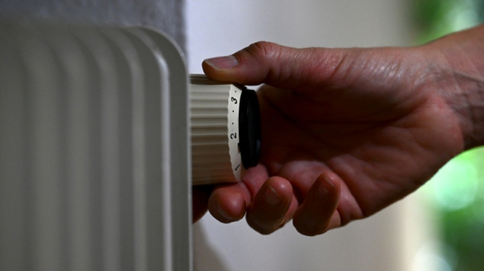 Reform des Heizungsgesetzes st&ouml;&szlig;t auf gemischtes Echo