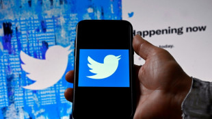 R&eacute;sultats d&eacute;cevants pour Twitter, qui en impute une partie &agrave; Elon Musk