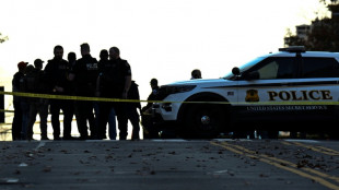 Les Etats-Unis réexaminent des milliers de "cartes vertes" après une attaque contre des militaires