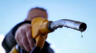 Le G7 pr&ecirc;t &agrave; "toutes les mesures n&eacute;cessaires" pour stabiliser le march&eacute; de l'&eacute;nergie