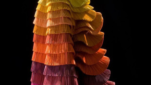 Il Plissè nella moda sin dal Medio Neolitico