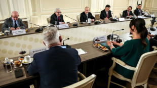 Putin äußert Bereitschaft zu Treffen mit Selenskyj in "finaler" Verhandlungsphase