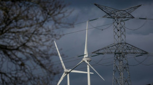 Electricité: un risque de coupures "faible" cet hiver en France, la sobriété toujours de mise