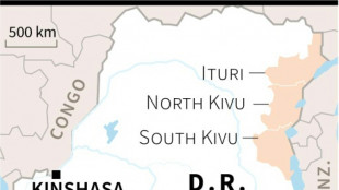 Militia kill at least 69 in NE DR Congo: local, security sources