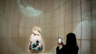 Tokyo exhibit showcases Dior's passion for Japan