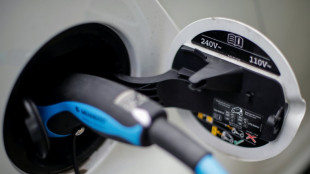 Wirtschaftsministerium will wegen Missbrauchs F&ouml;rderung von E-Autos anpassen