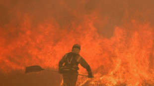 Muere una segunda persona por los incendios forestales en Espa&ntilde;a