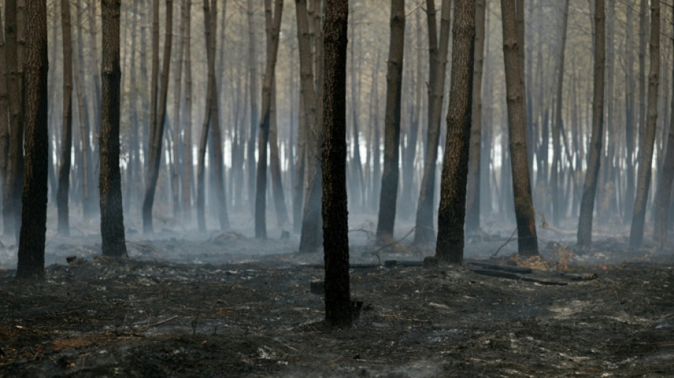 France firefighters hopeful, as Spain ends national emergency