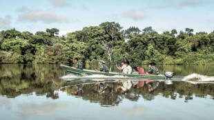 En Amazonie, la lutte des "guerriers de la for&ecirc;t" pour la Vall&eacute;e du Javari