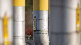 Le scorte di gas superano il 50% nell'Ue, Italia quasi al 63%