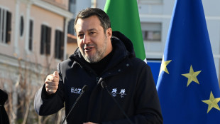 Borghi, sul decreto armi attendiamo cambiamenti ma il governo non rischia