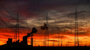 KfW fordert "Atempause" für deutsche Industrie - und sieht auch Zölle als Instrument