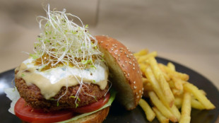 EU-Verhandler vertagen Entscheidung &uuml;ber Namensverbot f&uuml;r Veggie-Burger