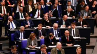 Bundesverfassungsgericht entscheidet &uuml;ber Ausschussvorsitze von AfD in Bundestag