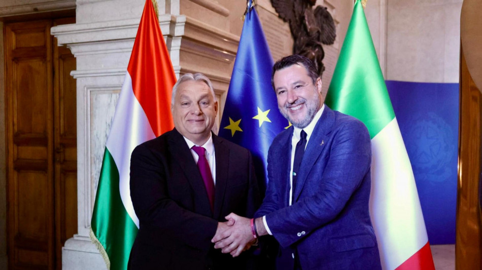 Salvini vede Orban, 'focus su pace e critiche a Ue suicida'