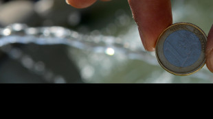 Euro poco mosso a 1,1659 dollari