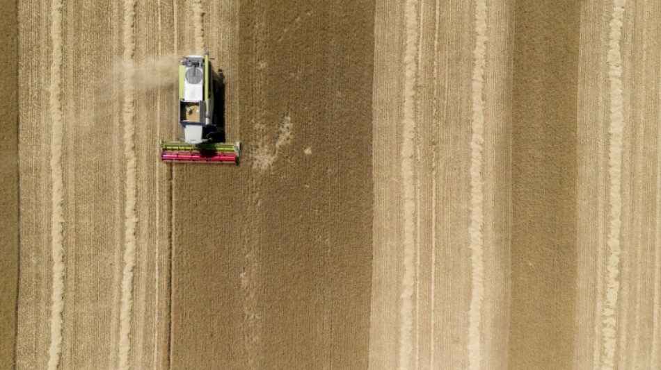 Loi d'urgence agricole: les parlementaires en qu&ecirc;te d'un p&eacute;rilleux compromis