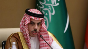 Delegação árabe denuncia 'proibição' de Israel à sua visita à Cisjordânia