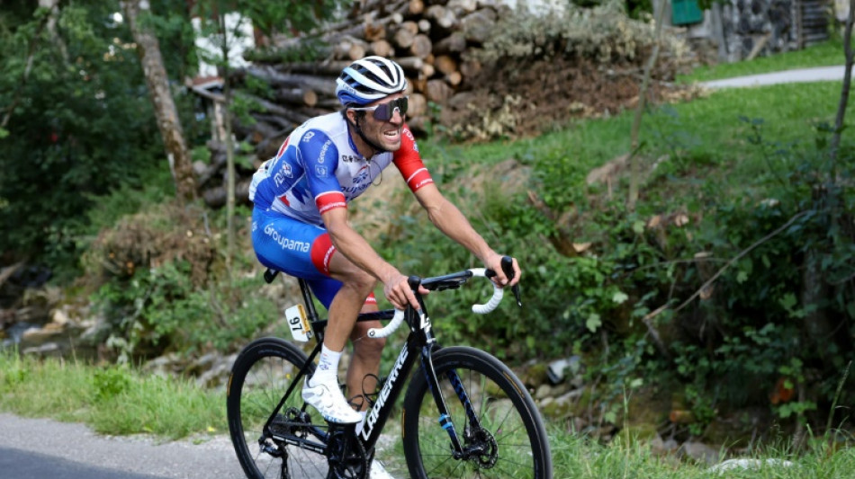 Tour de France: la journ&eacute;e de Pinot lui "donne des id&eacute;es pour la suite"