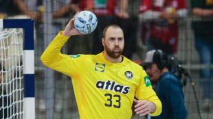 Handballer brennen auf Österreich-Revanche: "Sack zumachen"