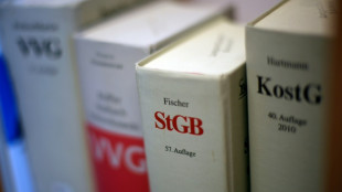 Haft- und Bew&auml;hrungsstrafen wegen Untreue in gro&szlig;em Stil in Sachsen-Anhalt