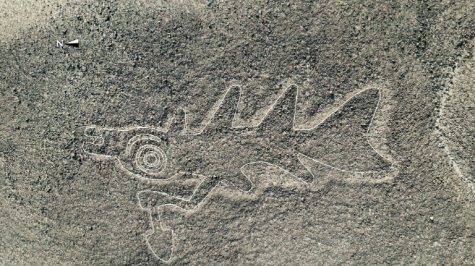 Governo do Peru defende redução de reserva arqueológica das Linhas de Nazca