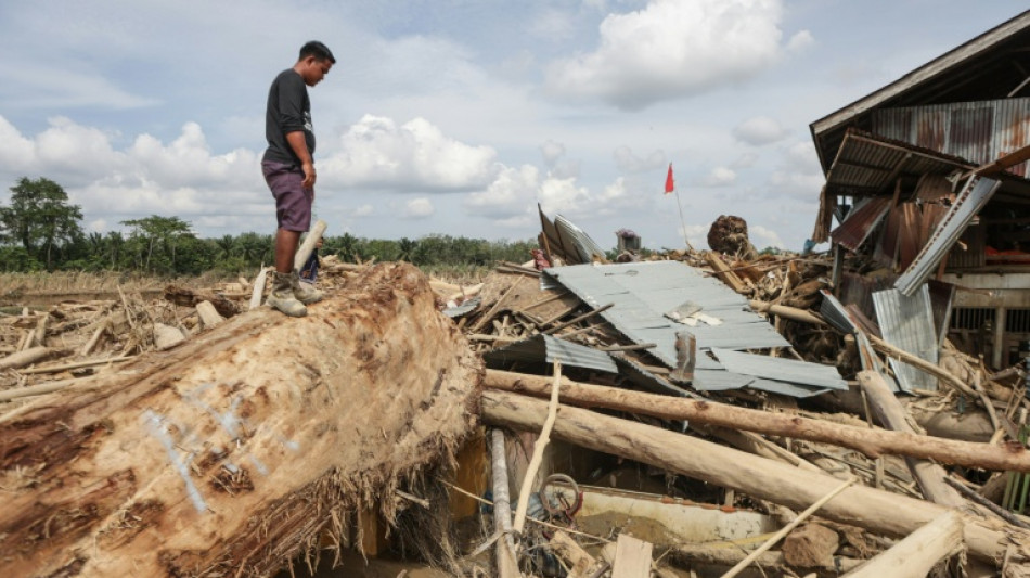 Las inundaciones en Indonesia amenazan unos orangutanes al borde de la extinci&oacute;n