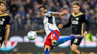 0:0 gegen Elversberg: HSV verpasst dritten Sieg in Serie