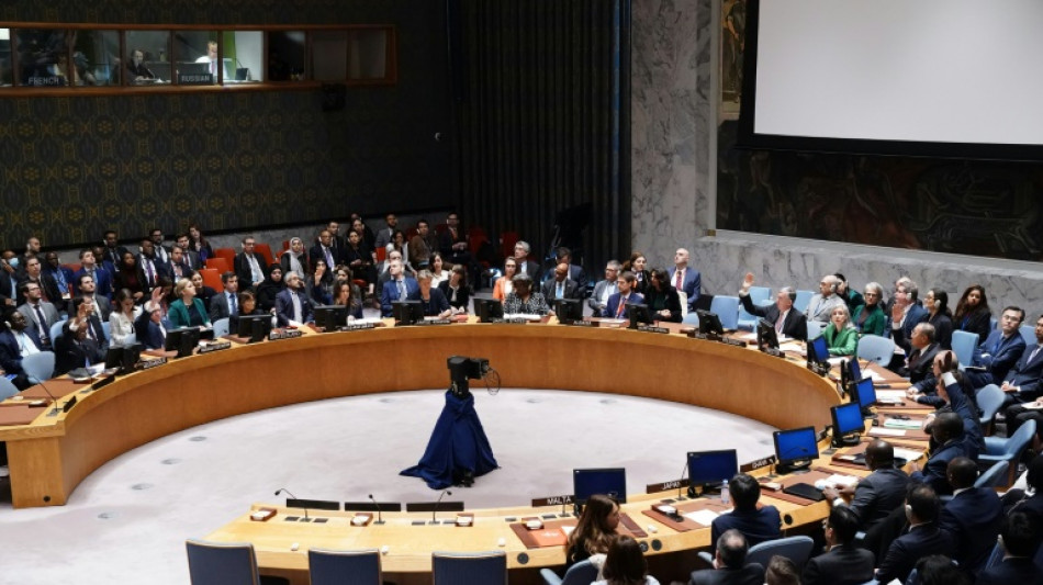 Consejo de Seguridad de ONU rechaza con veto de EEUU resoluci&oacute;n sobre conflicto Israel-Ham&aacute;s