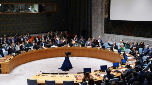 Consejo de Seguridad de ONU rechaza con veto de EEUU resoluci&oacute;n sobre conflicto Israel-Ham&aacute;s