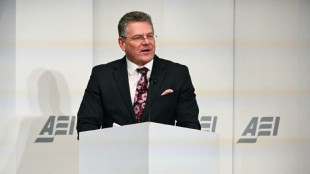 Droits de douane: comment l'UE peut répliquer à Trump ?