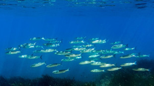 Protection des océans: l'UE veut afficher son "leadership", avant le sommet de l'ONU