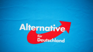 AfD feiert zehnj&auml;hriges Bestehen - Proteste angek&uuml;ndigt