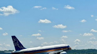 Companhias a&eacute;reas preveem recorde de quase 5 bilh&otilde;es de passageiros em 2024