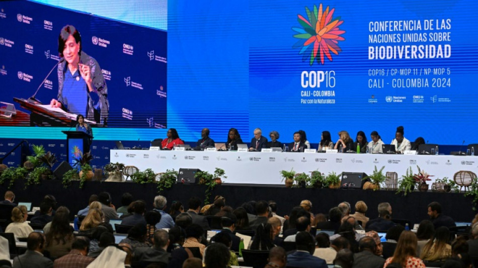 Ouverture en Colombie de la COP16 Biodiversité