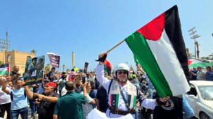 Mundo teve em 2024 o maior número de conflitos desde 1946, segundo estudo
