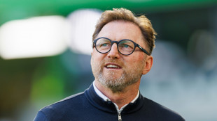 Hasenhüttl darf wohl bis Saisonende VfL-Coach bleiben