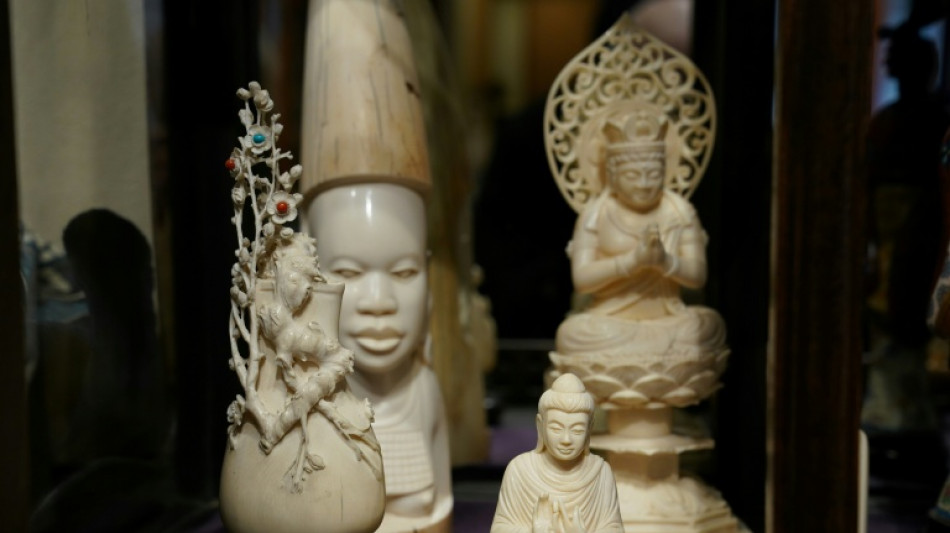 Le Japon, havre contest&eacute; du commerce de l'ivoire