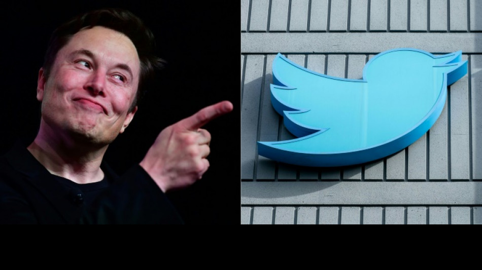 Twitter: Musk change le logo, la cryptomonnaie associ&eacute;e voit son cours d&eacute;coller