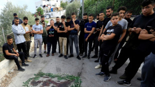 Mueren dos palestinos en un tiroteo con soldados israel&iacute;es en Cisjordania