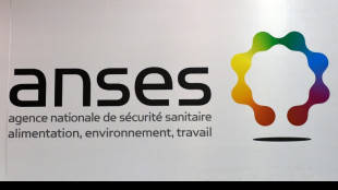 Encéphalite à tiques: les cas risquent d'augmenter en France