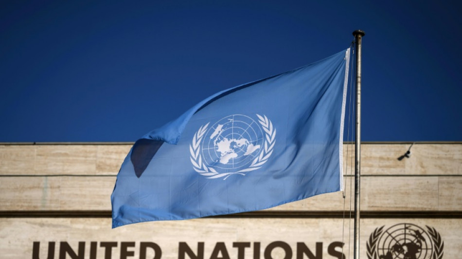 Brevets: accord &agrave; l'ONU sur un trait&eacute; pour lutter contre la biopiraterie