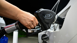 Multinacionales instan a los gobiernos a eliminar gradualmente los combustibles f&oacute;siles