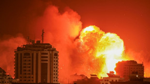 Israel reporta 1.500 combatientes de Ham&aacute;s muertos en su territorio tras ofensiva