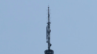 Pair climb to top of Empire State Building for apparent proposal