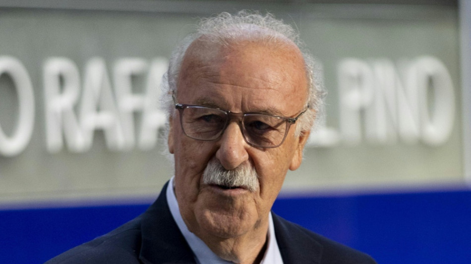 Del Bosque: Spaniens Trainerqualit&auml;t wichtiger Faktor
