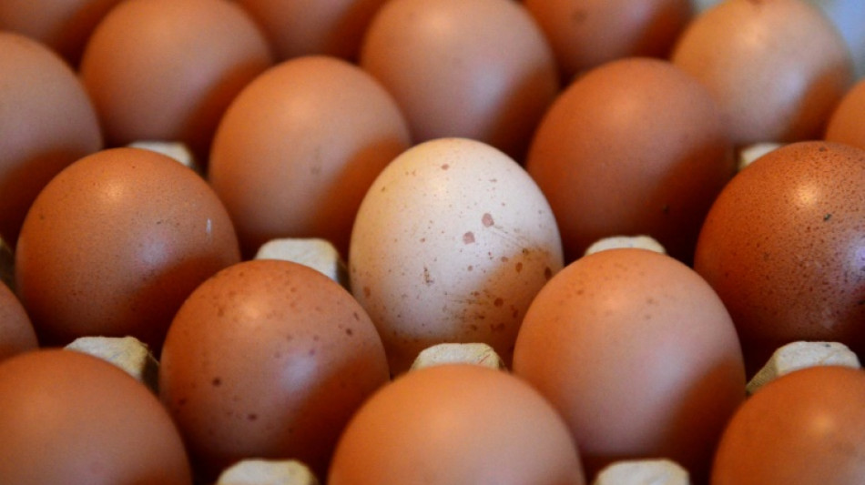 Oster-Mythos ade: Weihnachten ist Hauptgesch&auml;ft im Eierhandel